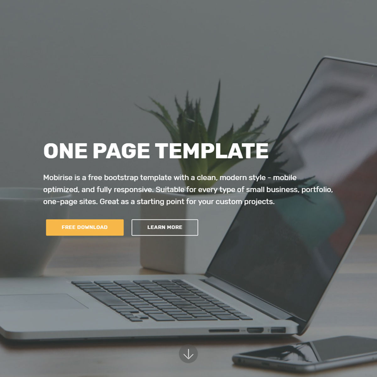 One Page Bootstrap Template Demo
